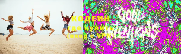 дмт Алзамай
